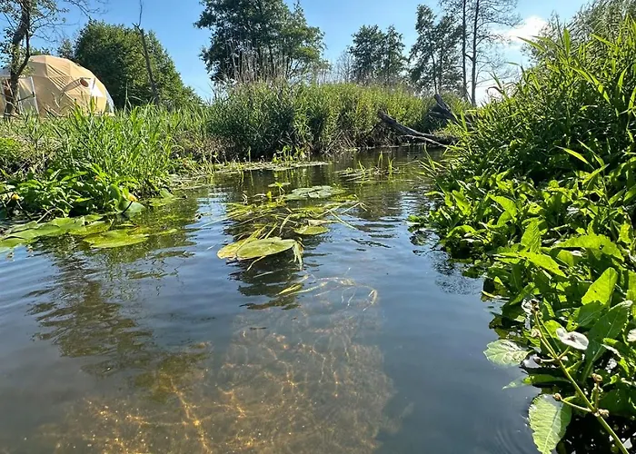 Heaven Reset Luksusowy Glamping Jacuzzi W Naturze Blisko Warszawy (adults Only) Chalet Korczew